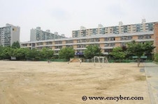 대치초등학교