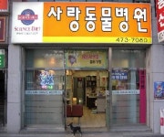 사랑동물병원