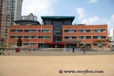 금화초등학교