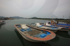 개매기 정보화마을