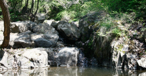 양평밸리관광펜션