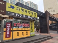 파랑새부동산