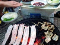청정장어