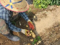 노승산우무실마을
