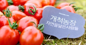 개척농장