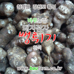 바우농장