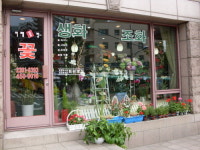이레꽃방