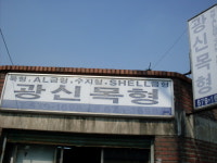광신목형