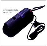 서광전자조명