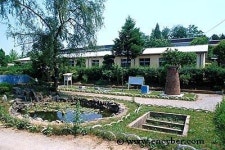 배양초등학교