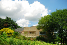 들꽃이야기펜션