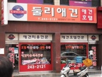 둘리애견