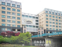 스타우스공인중개사