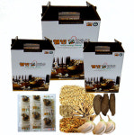 웰빙하우스 관악1호점