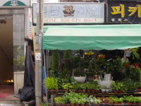 경남꽃화원
