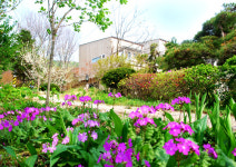 들꽃이야기펜션