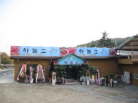 하늘소