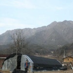 문장대 청화농원