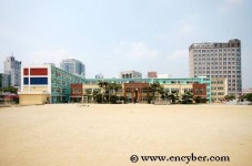 대구초등학교