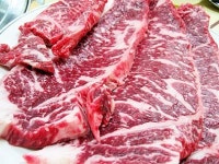 성신한우한마당
