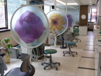 오성산치과의원