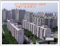 골드공인중개사