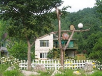 겨자씨이야기