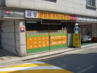 금성부동산