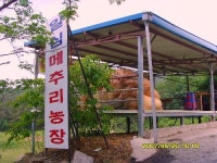 일심메추리농장