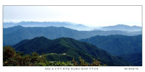 동양화재 부산지점 태종영업소