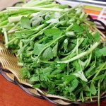 갈밭식당