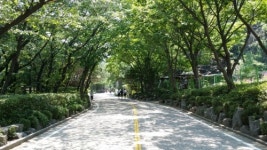 상록원