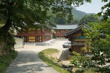 도리사