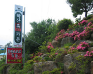 약산흑염소가든