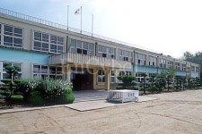광양골약중학교
