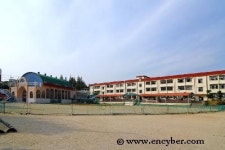 화정초등학교