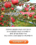 얼음골 꿀사과농장