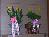 보하모텔