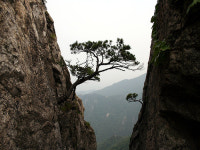 계룡산