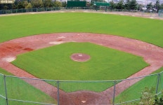 강창학공원야구장