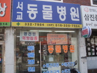 서교동물병원