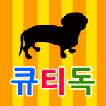 큐티독