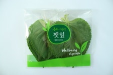 대한포장인쇄
