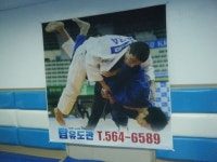 탑유도관