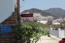오월의발코니