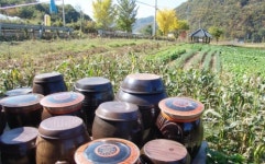 하늘맑은집펜션