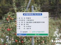삼락정농원