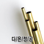 다은정공
