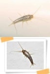 로취버스터즈 동천점