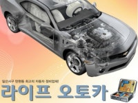 라이프오토카